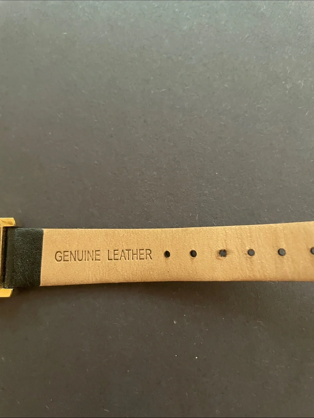 Porsamo Bleu Black Leather Strap Watch with Gold Case